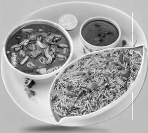Veg Manchurian Schezwan Fried Rice
