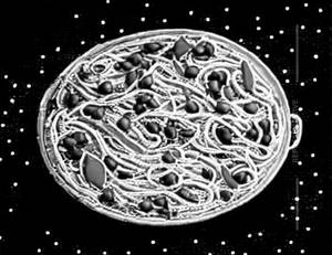 Egg Noodles [Double]