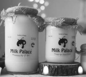 Mp Premium Pure Ghee