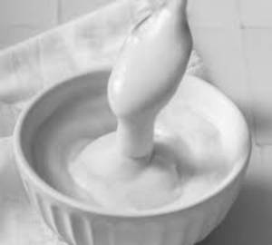 Custard Vanilla