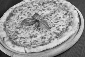 Double Cheese Margherita Pizza