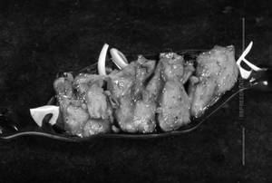 Lemon Honey Chicken Dry