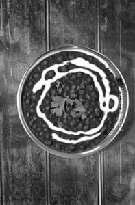 Dal Makhani
