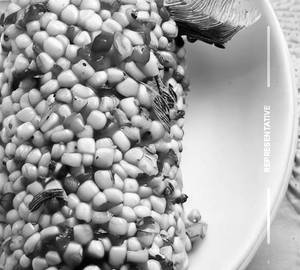 American Corn