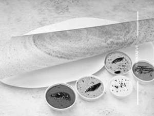 Plain Butter Dosa