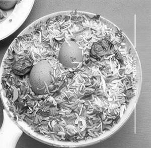 Egg Biriyani