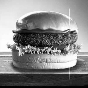 Fries Burger