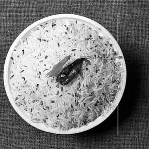 Kaju Rice