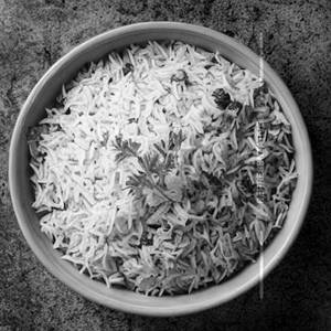 Plain Rice            