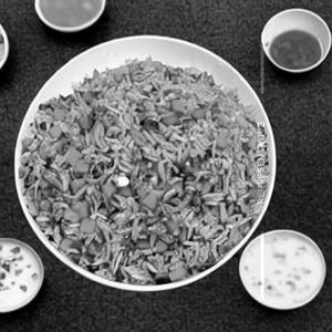 Shabal Special Fried Rice