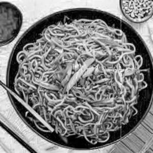 Mongolian Noodles