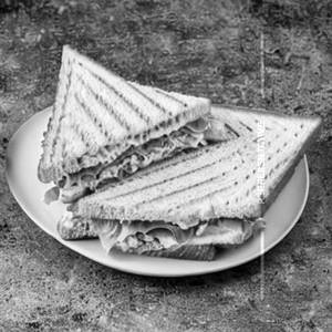 Chicken Cheese Sandwich  