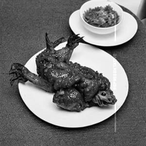 Dragon Chicken