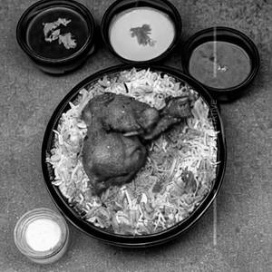 Chicken Family Pack
