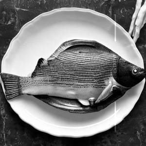 Apollo Fish