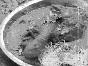 Punjabi Chicken