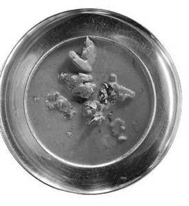 Mutton Kurma