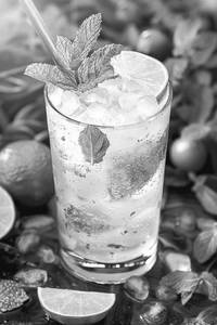 Mint Mojito 300 Ml
