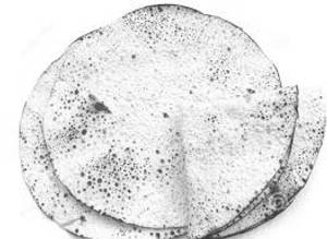 Rosted Papad