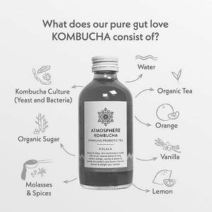 Atmosphere Kombucha - Kolala