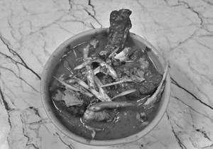 Chicken Chengezi
