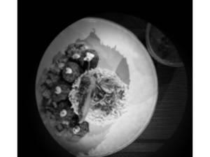 Falafel With Arabic Rice