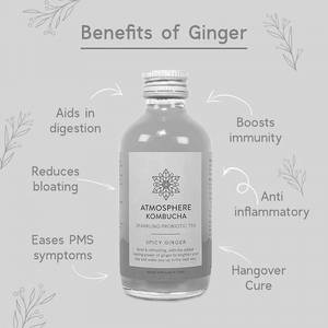Atmosphere Kombucha - Spicy Ginger