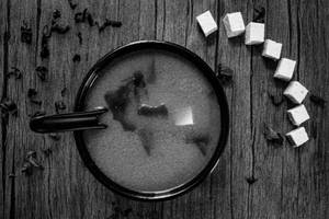 Miso Silken Tofu Soup