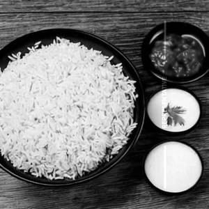 Plain Rice