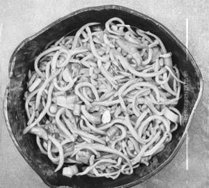 Baby Corn Noodles