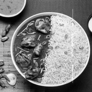 Grilled Chicken Rice Bowl