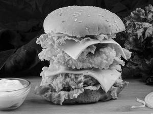 Hunky Chunky Chicken Burger (double Patty)