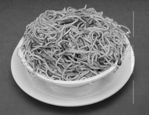Schezwan Noodles 