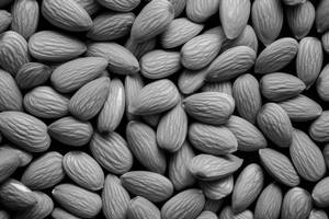 Badam