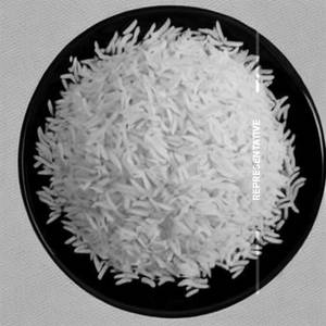 Plain Rice