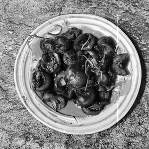 Mushroom Manchuri