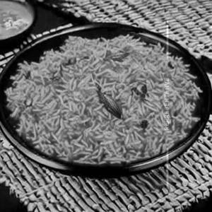 Tomato Rice
