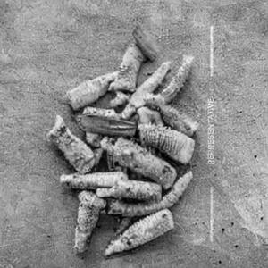 Babycorn Chilly