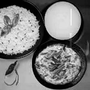 Curd Rice