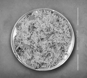Chicken Schezwan Rice