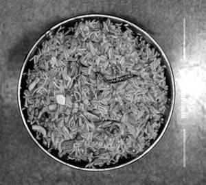 Egg Schezwan Fried Rice