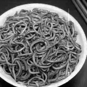 Jade Noodles