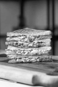 Cheese Sandwich 