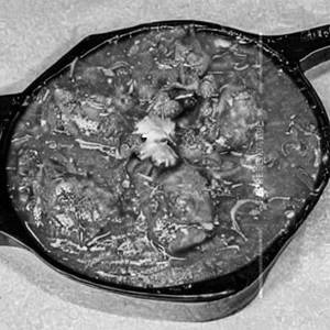 Schezwan Chicken