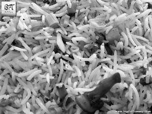 Mushroom Fried Rice