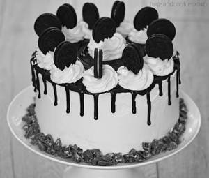 Chocolate Oreo Cake [500 grams]