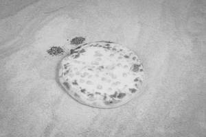 Four Season Pizza
