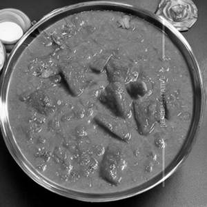 Udupi Aaradhya Special Gravy