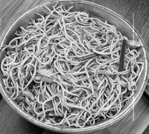 Veg Hakka Noodles 