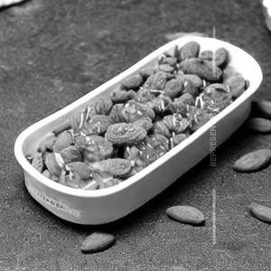 Dry Fruits Special